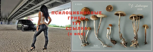 тгк Баксан